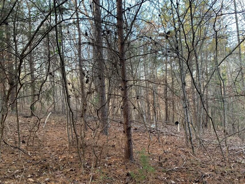 Lot 284 Waterway CT - Photo 15