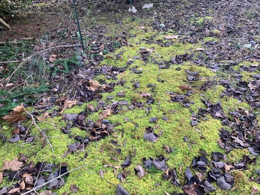 Lot 284 Waterway CT - Photo 18