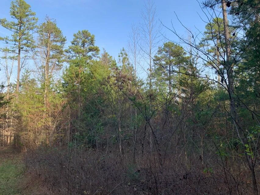Lot 284 Waterway CT - Photo 20