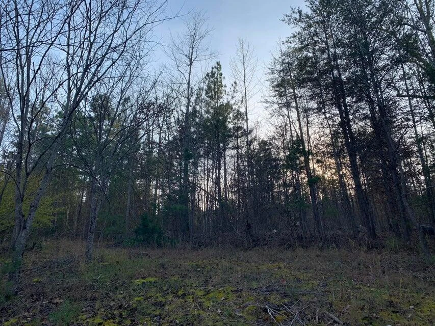 Lot 284 Waterway CT - Photo 22