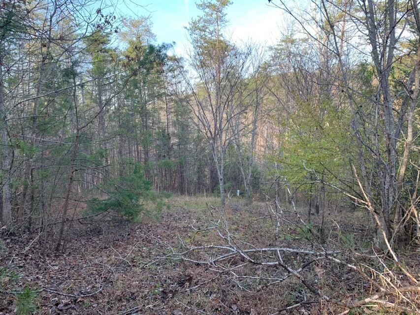 Lot 284 Waterway CT - Photo 23