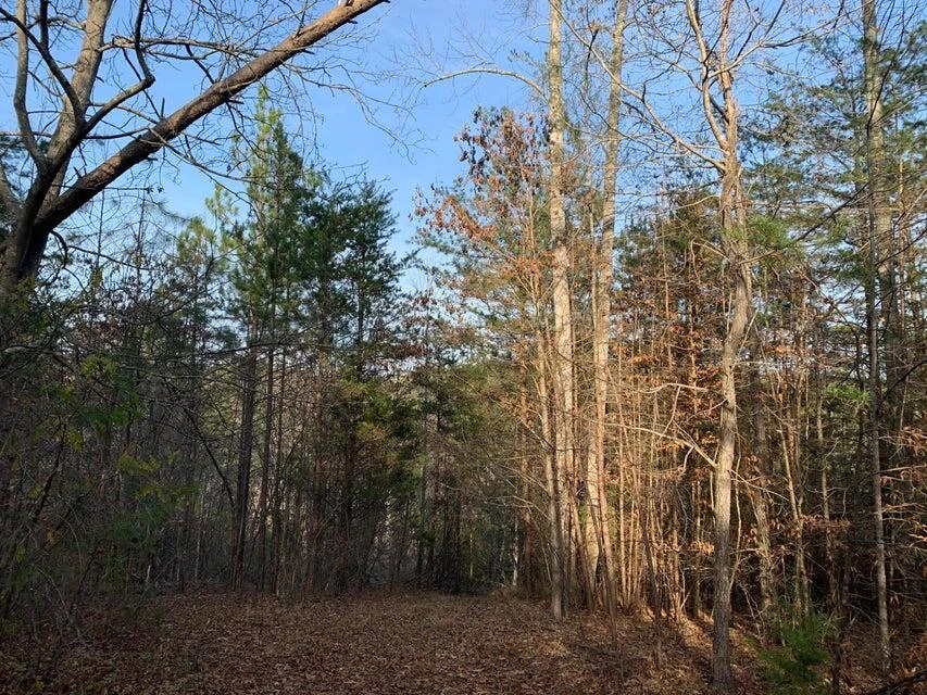 Lot 284 Waterway CT - Photo 24