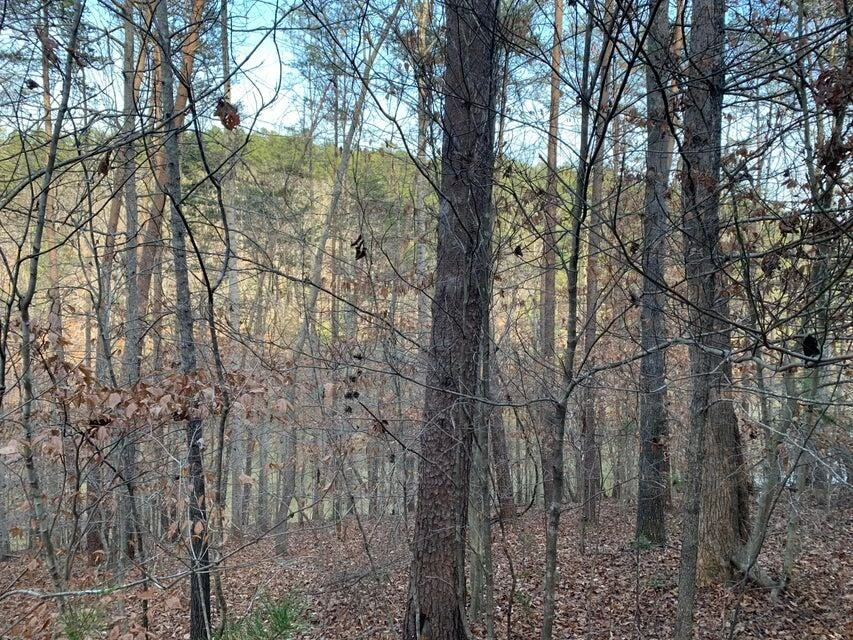Lot 284 Waterway CT - Photo 9