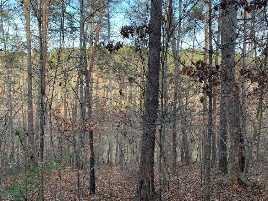 Lot 284 Waterway CT - Photo 10