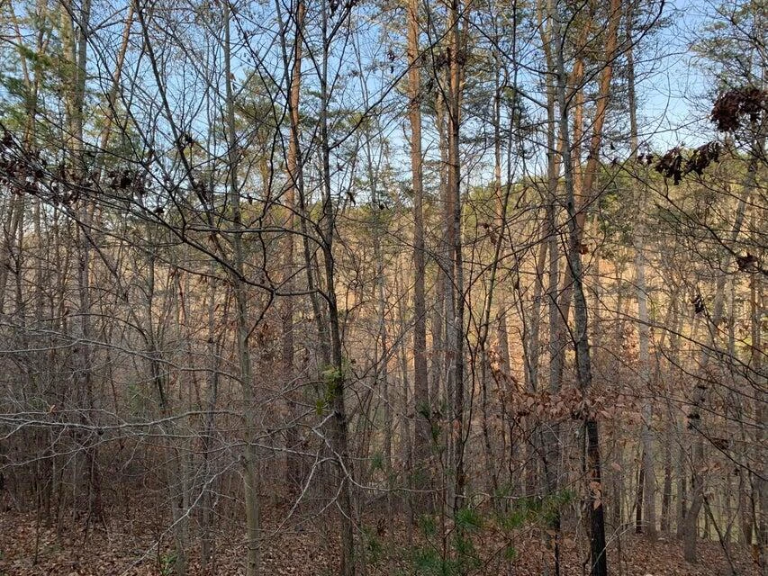 Lot 284 Waterway CT - Photo 11