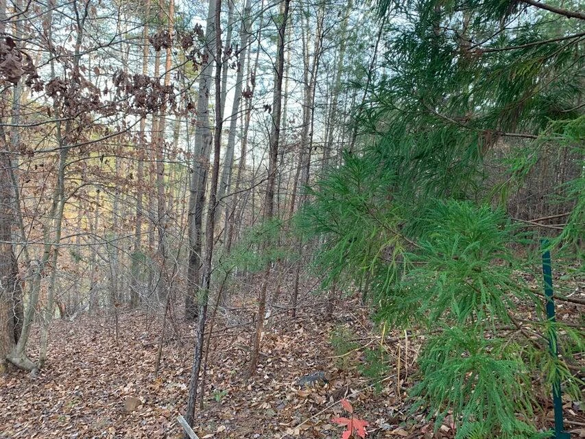 Lot 284 Waterway CT - Photo 12
