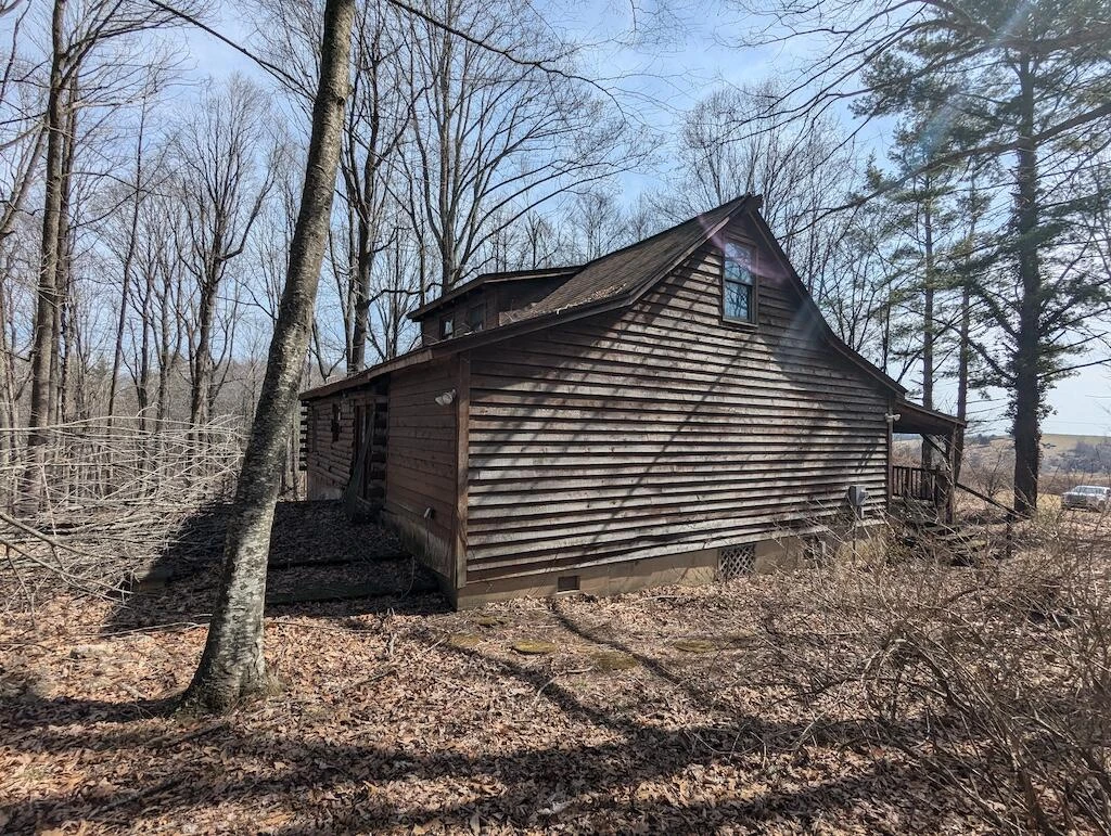 1704 Coles Knob RD - Photo 3