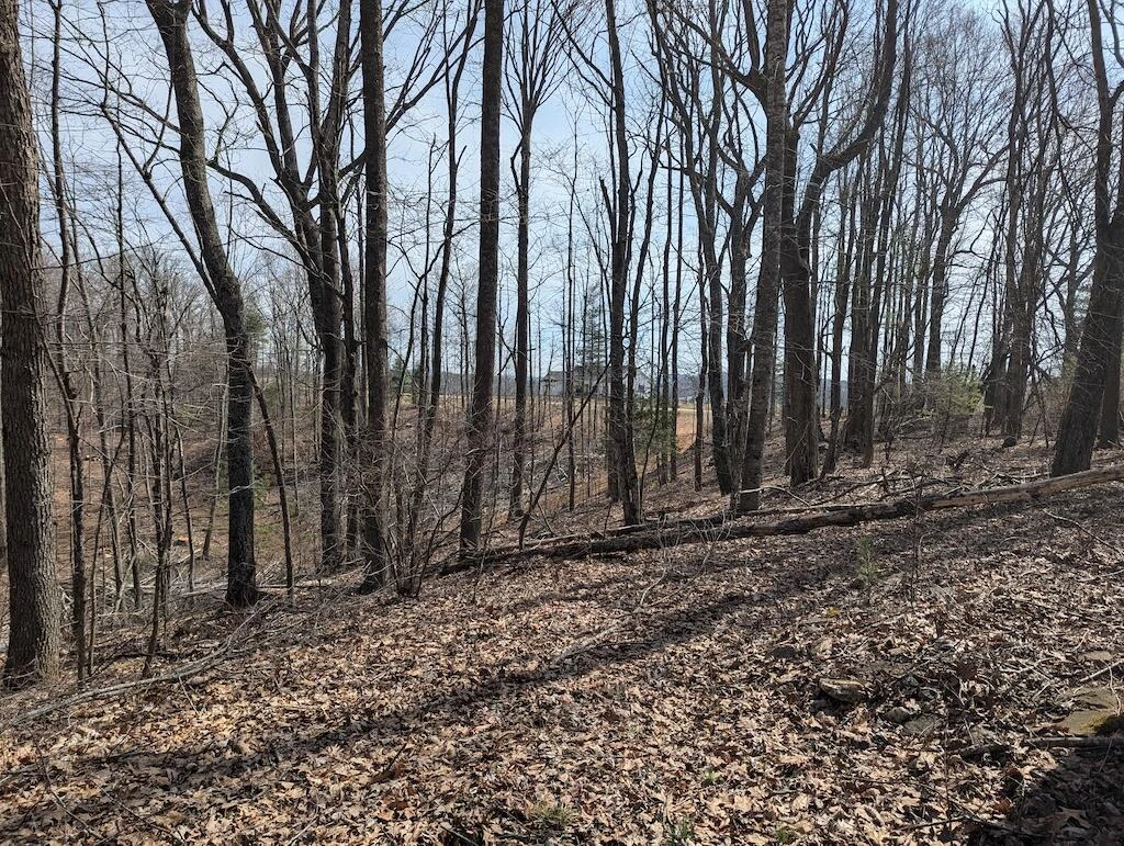 1704 Coles Knob RD - Photo 5