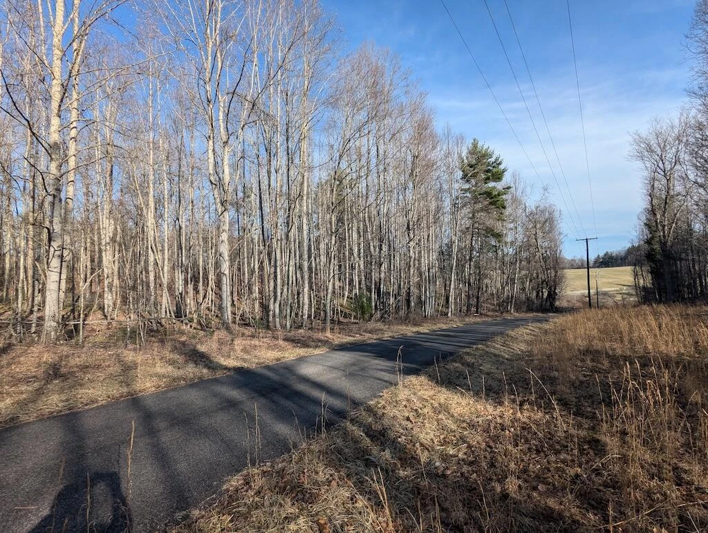 TBD Coles Knob RD - Photo 10