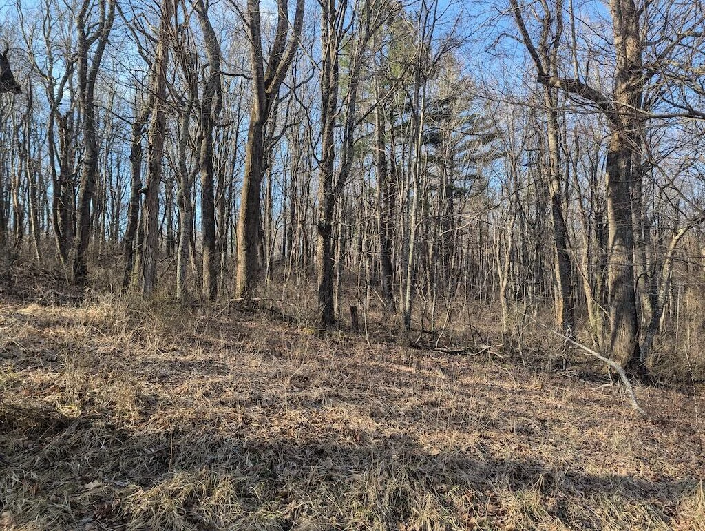 TBD Coles Knob RD - Photo 11