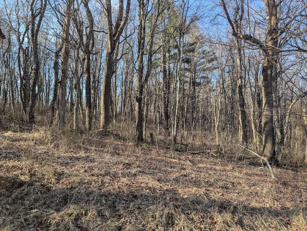 TBD Coles Knob RD - Photo 12