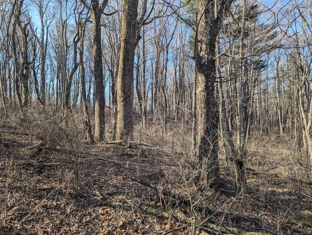 TBD Coles Knob RD - Photo 13