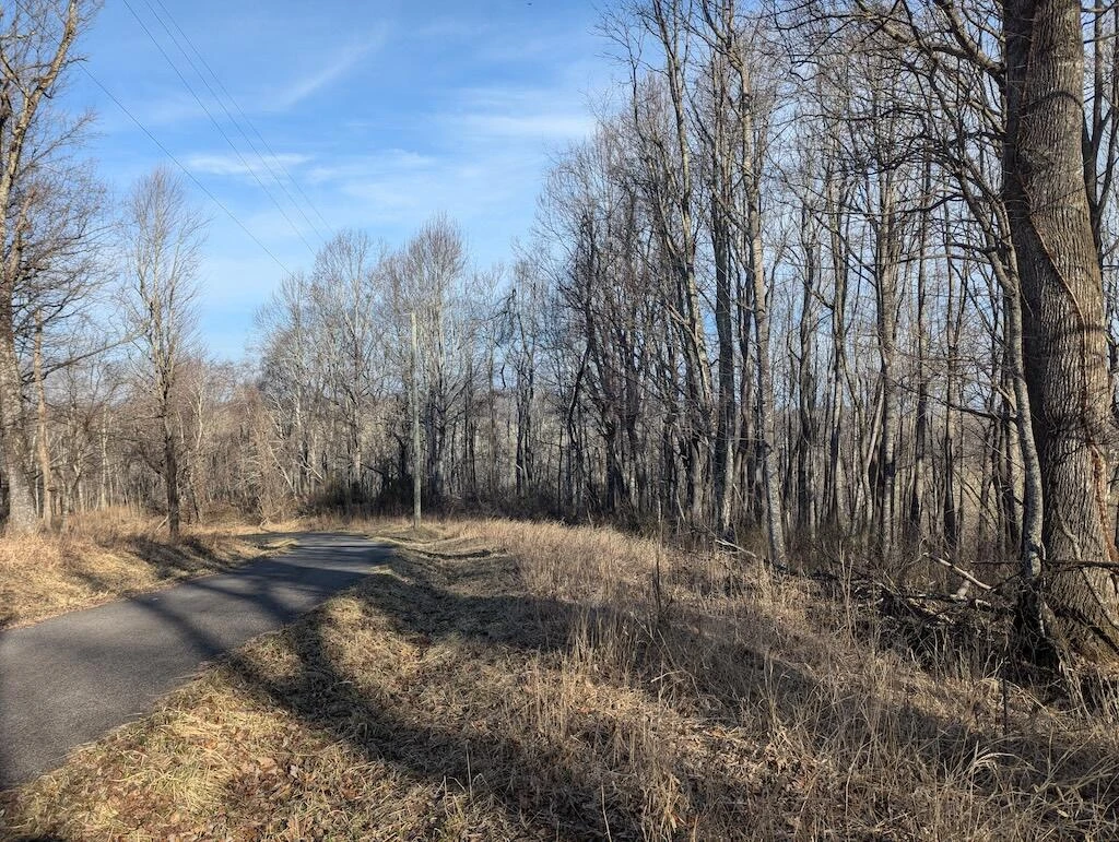 TBD Coles Knob RD - Photo 14