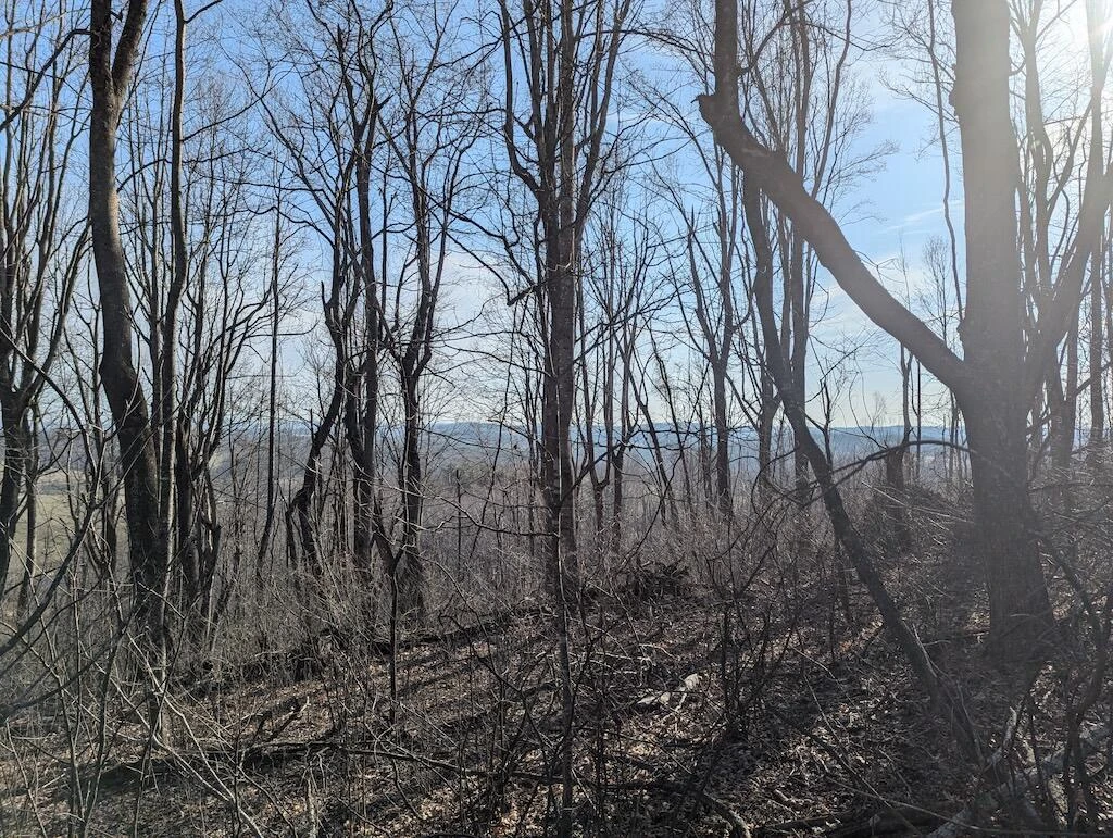 TBD Coles Knob RD - Photo 15