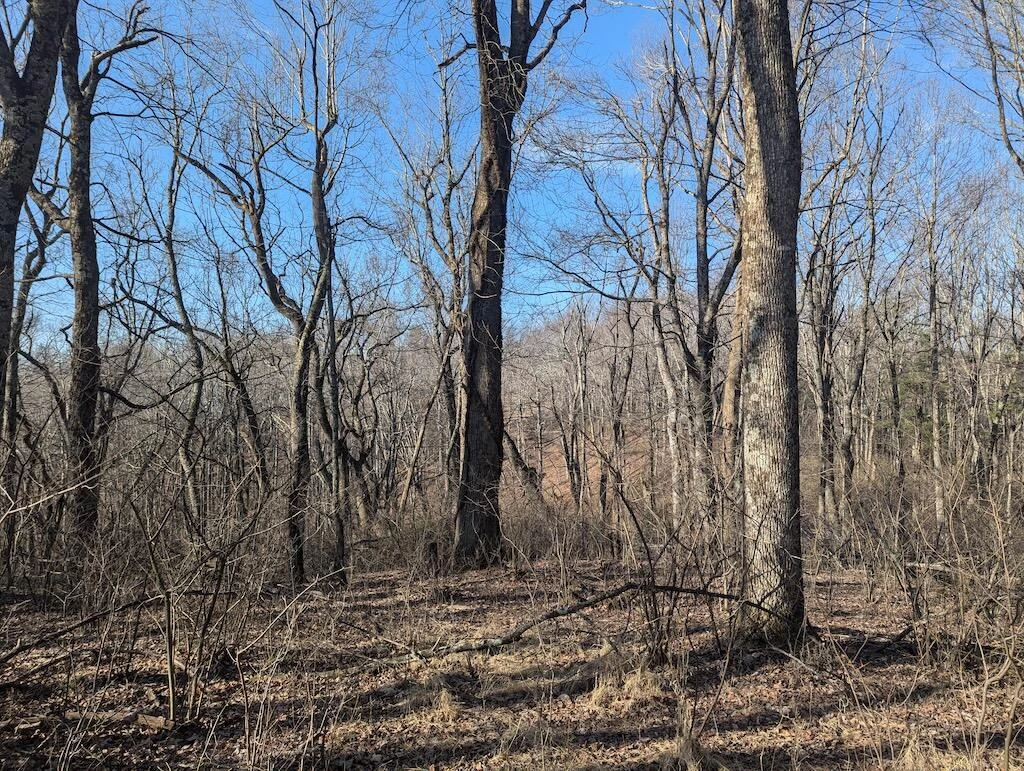 TBD Coles Knob RD - Photo 18
