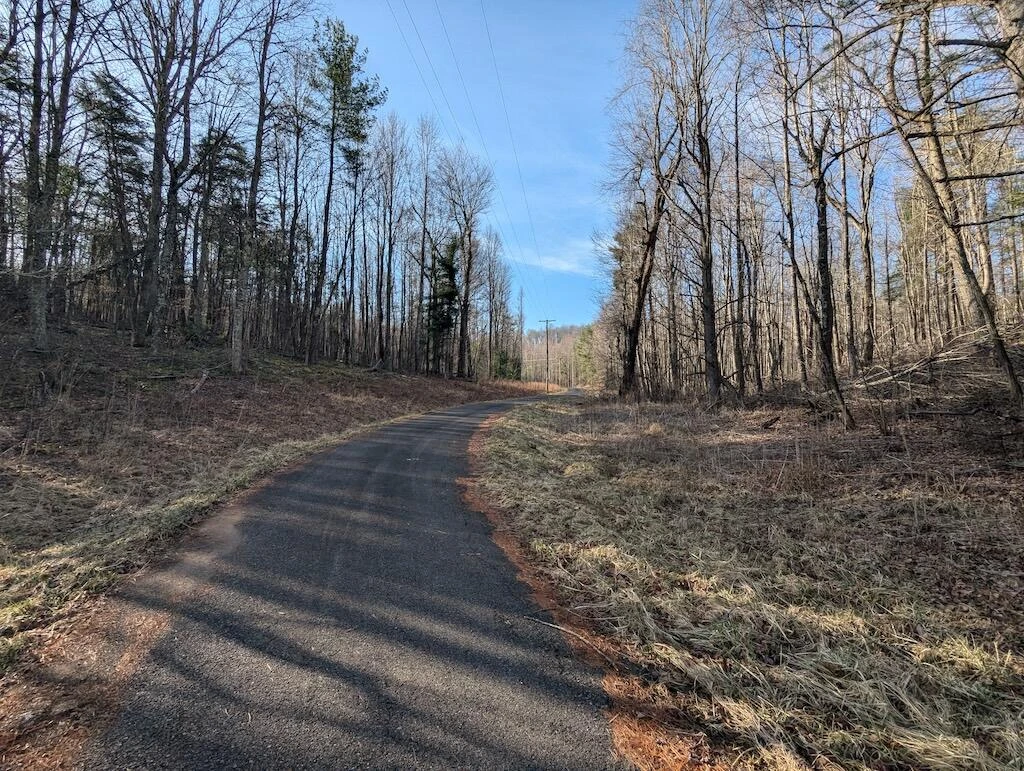TBD Coles Knob RD - Photo 2