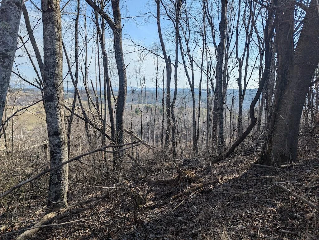 TBD Coles Knob RD - Photo 20