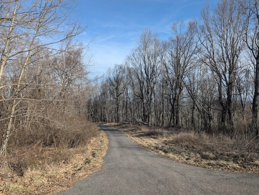TBD Coles Knob RD - Photo 21