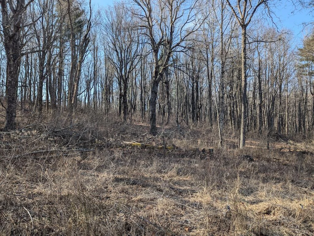 TBD Coles Knob RD - Photo 22