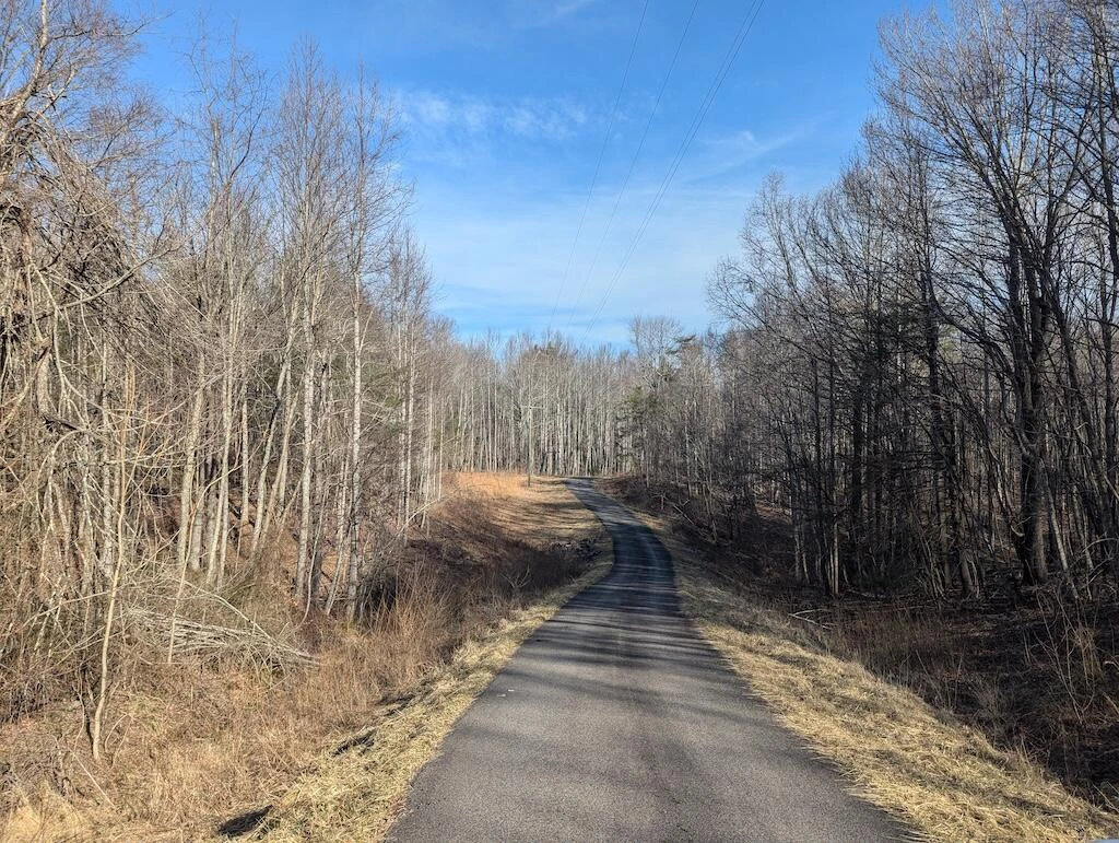 TBD Coles Knob RD - Photo 23