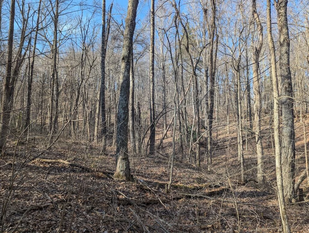 TBD Coles Knob RD - Photo 24