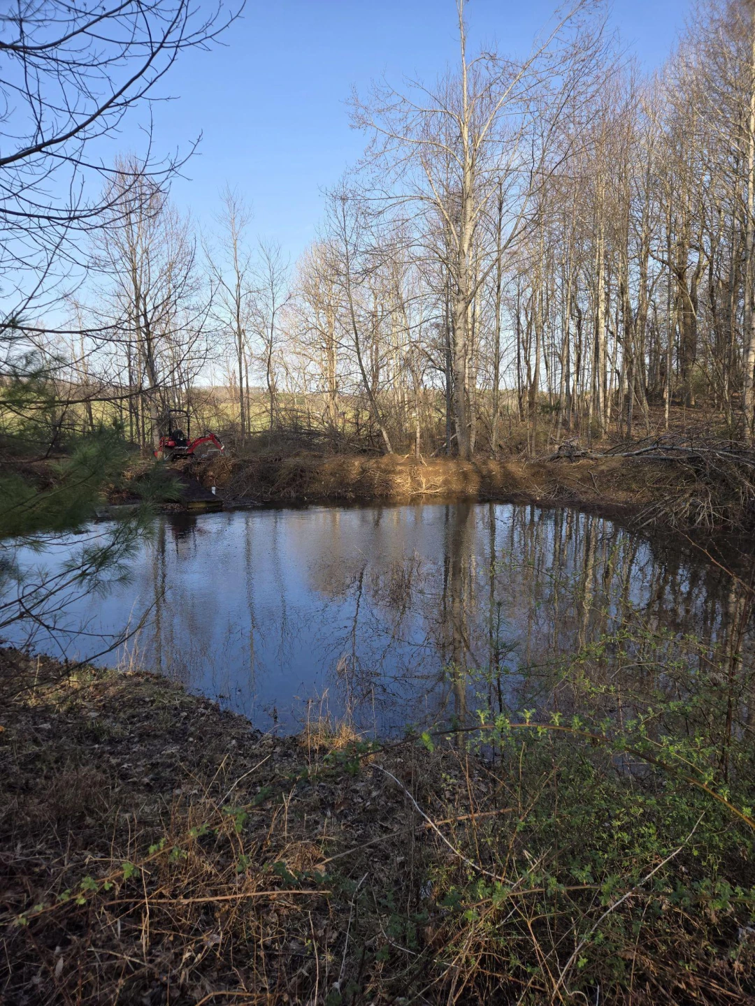 TBD Coles Knob RD - Photo 25