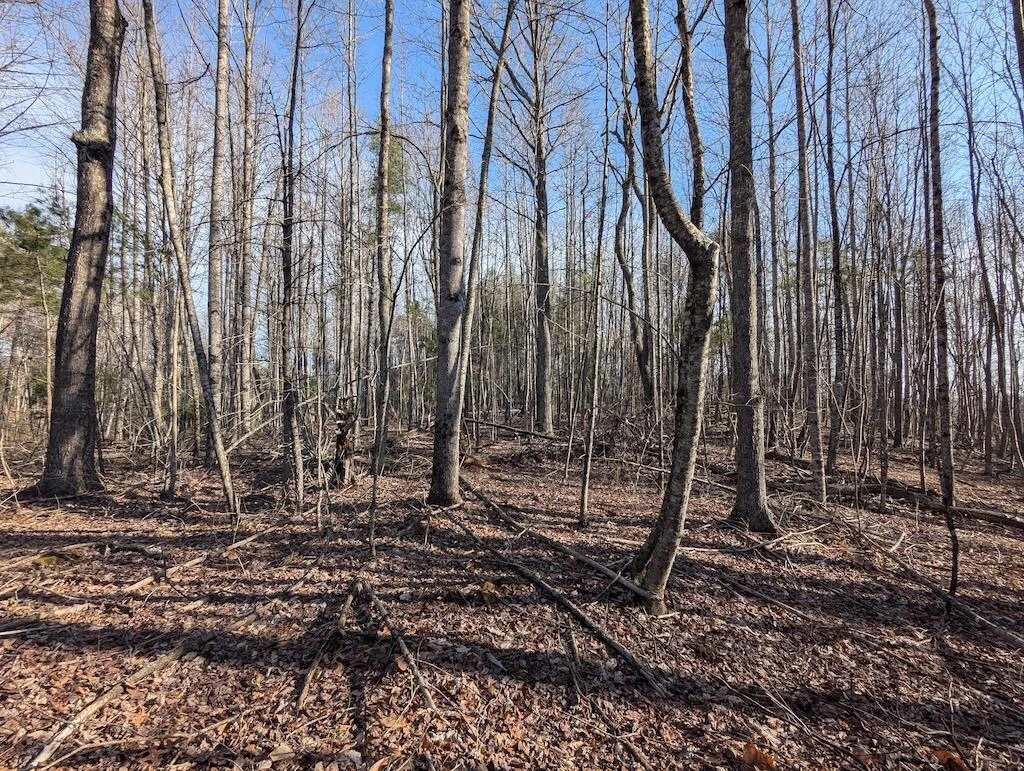 TBD Coles Knob RD - Photo 5