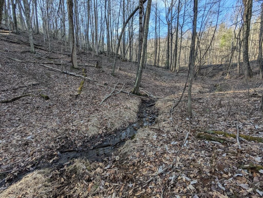 TBD Coles Knob RD - Photo 6