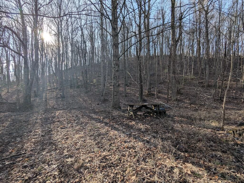 TBD Coles Knob RD - Photo 7