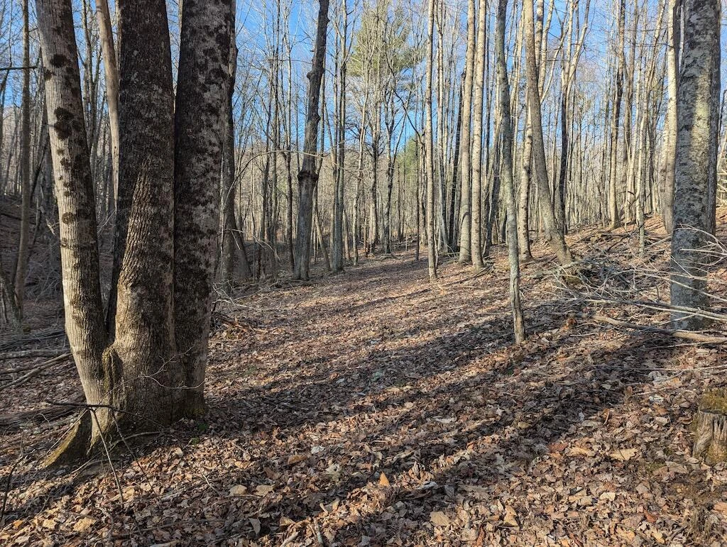 TBD Coles Knob RD - Photo 8