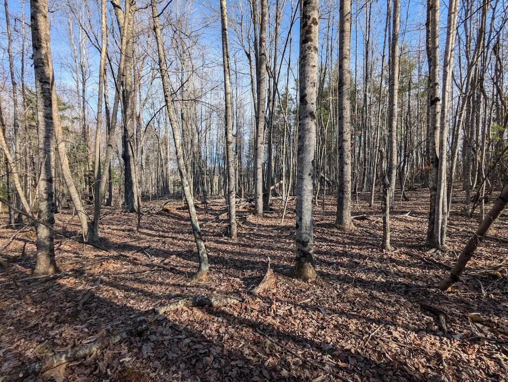 TBD Coles Knob RD - Photo 9