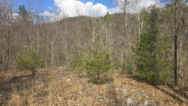 2280 Jennings RD, Shawsville, VA, 24162