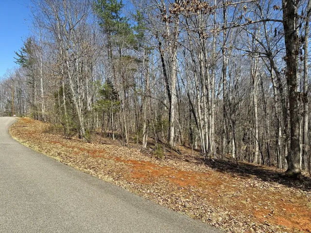 Lot 17 Gap Bridge RD, Moneta, VA, 24121
