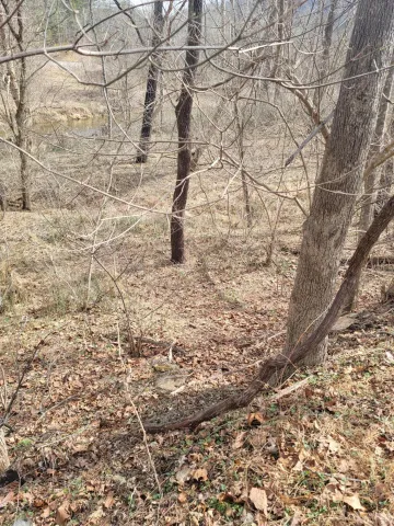 0 Starlight LN, Boones Mill, VA, 24065