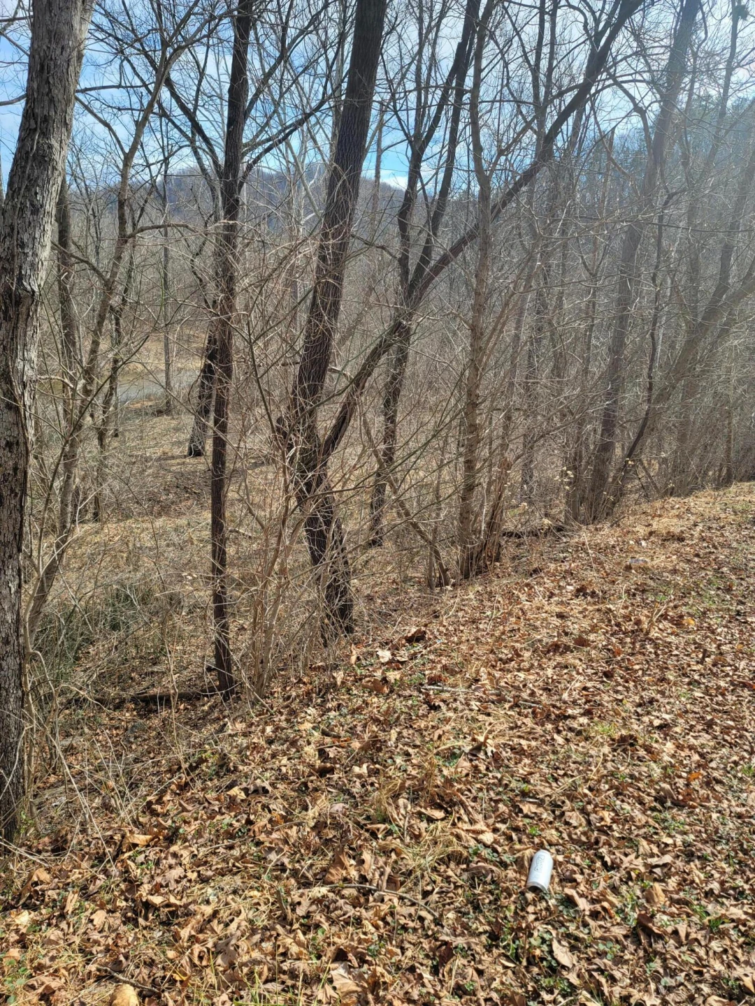 0 Starlight LN - Photo 2