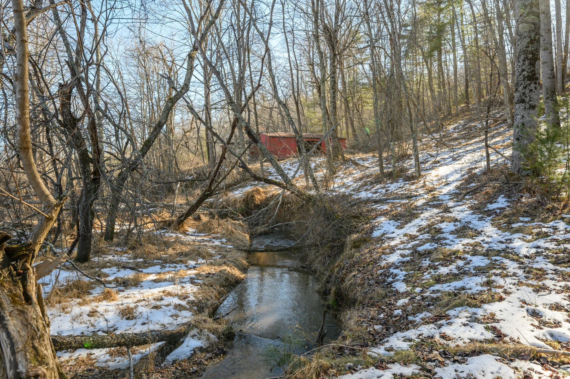 183 Willow Brook LN - Photo 86