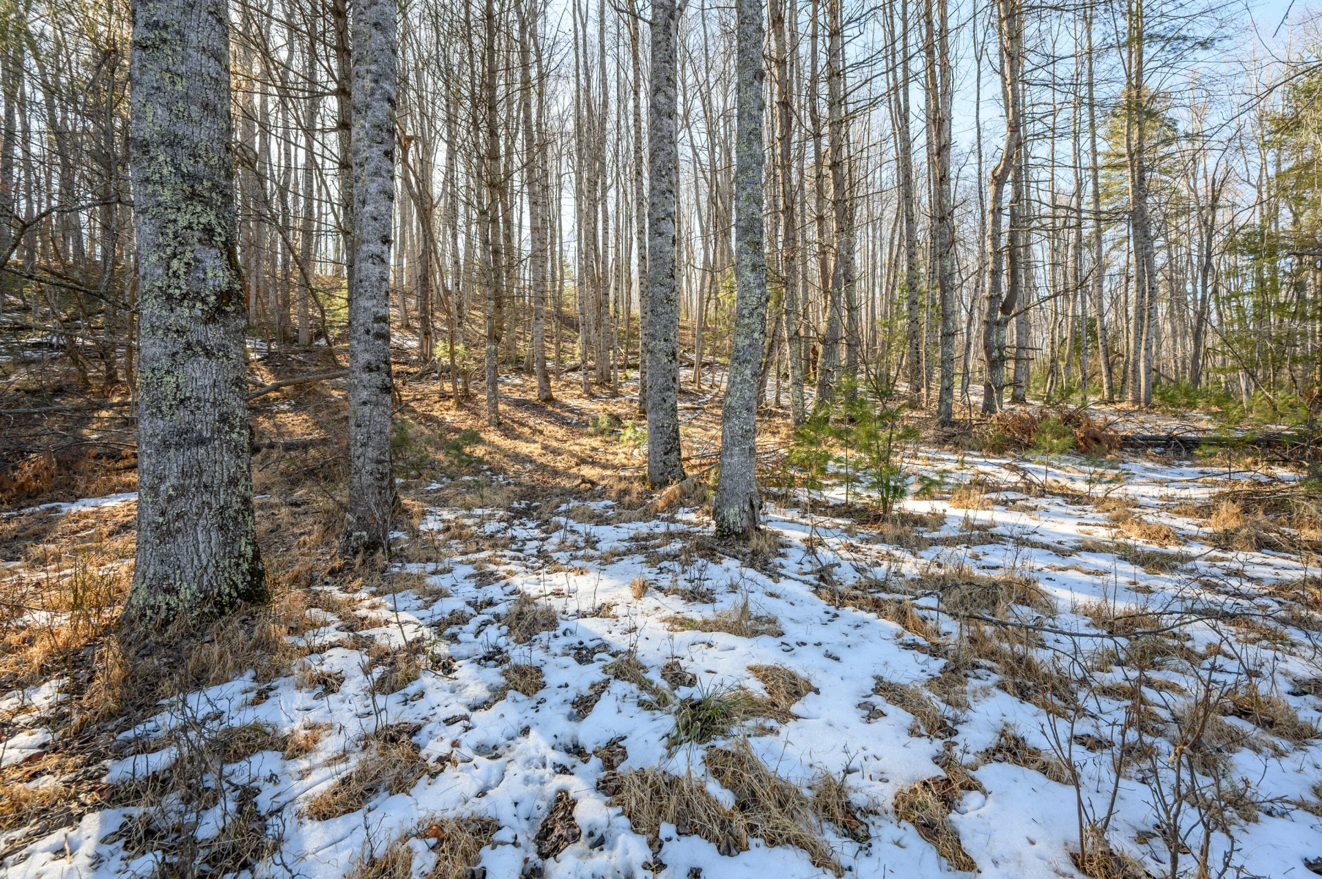 183 Willow Brook LN - Photo 87