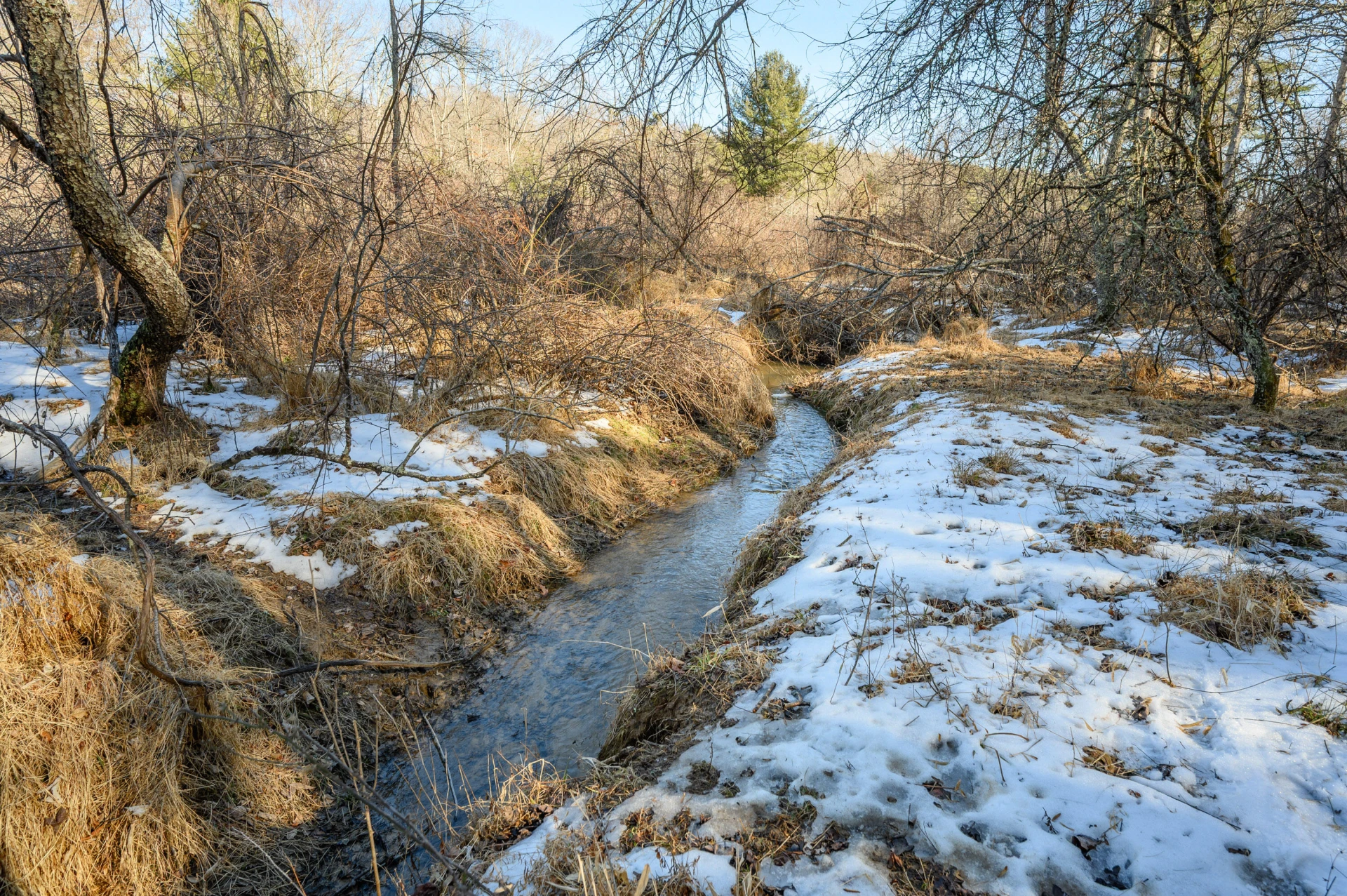 183 Willow Brook LN - Photo 88