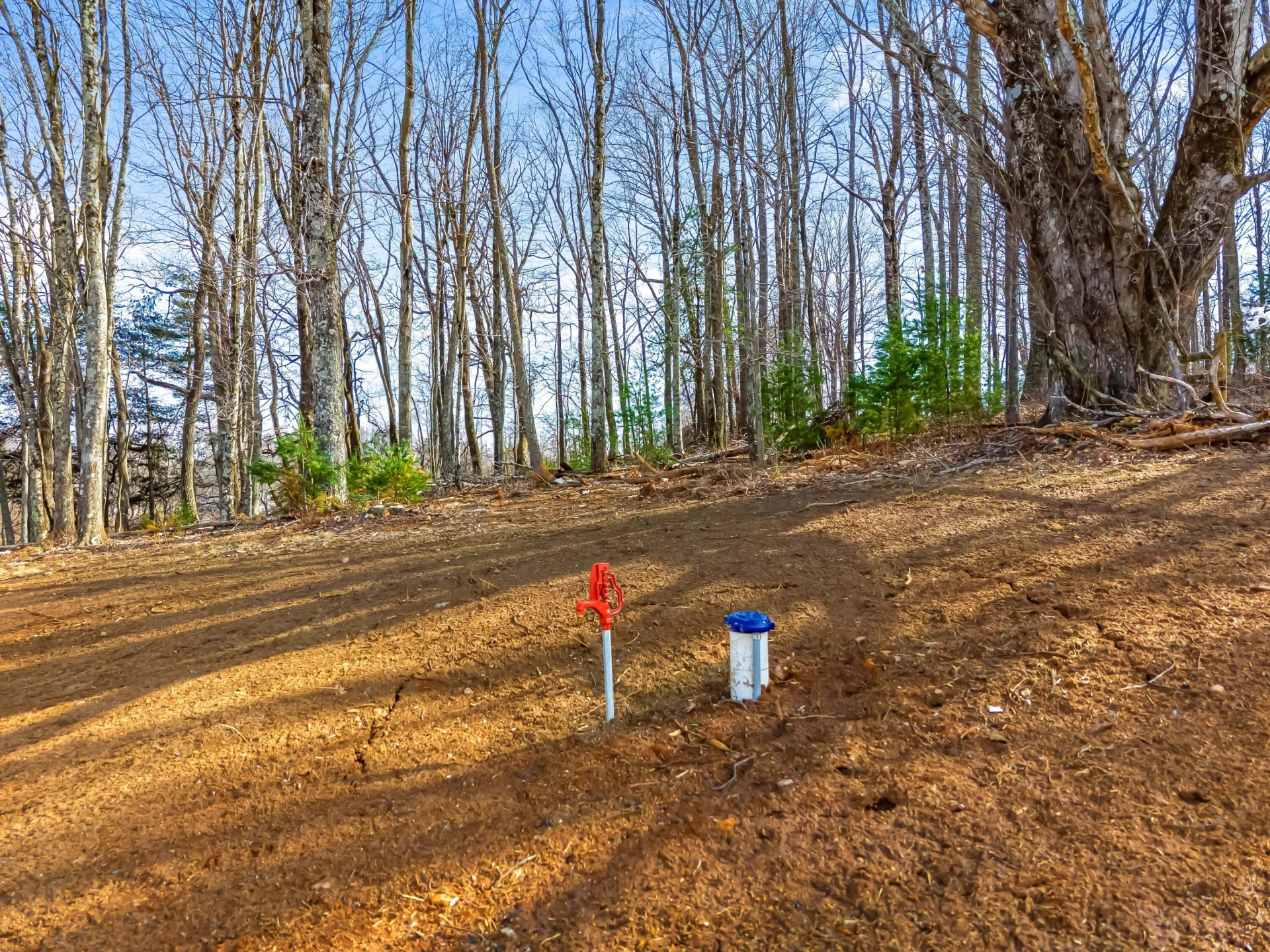 1047 Barberry RD - Photo 47