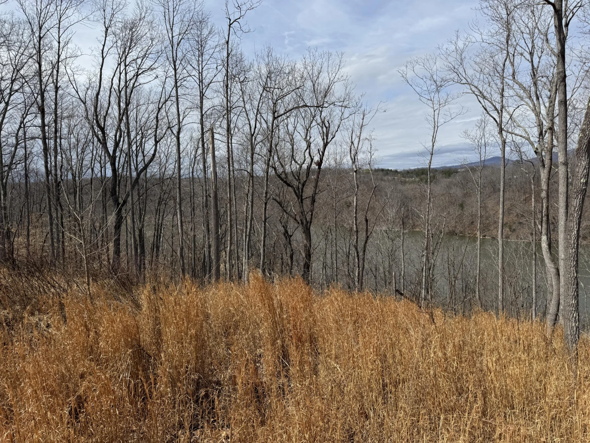 LOT 47 Pearl DR - Photo 15