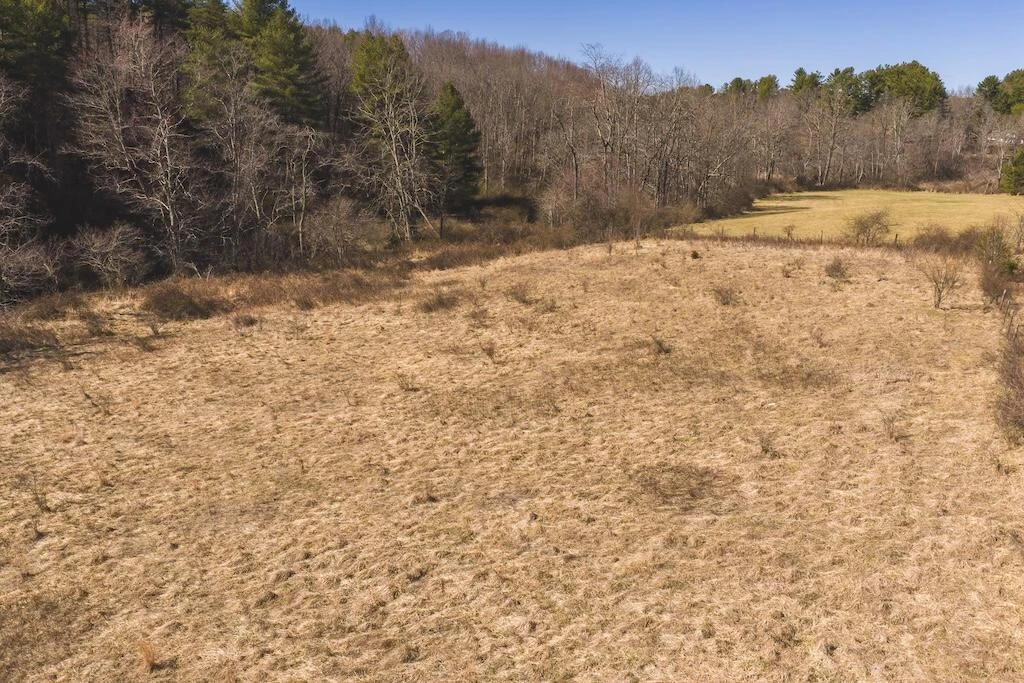 TBD Epperly Mill RD - Photo 11