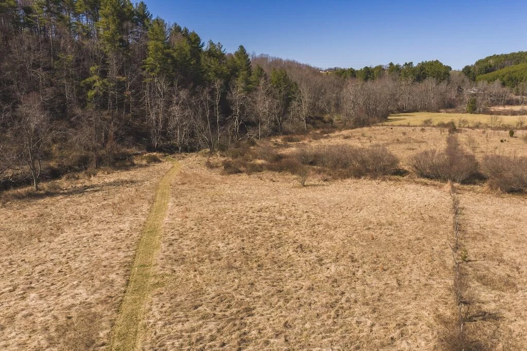TBD Epperly Mill RD - Photo 12