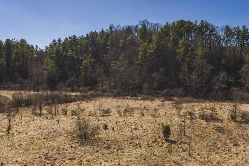 TBD Epperly Mill RD - Photo 13