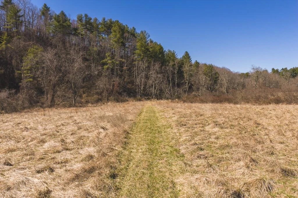 TBD Epperly Mill RD - Photo 14