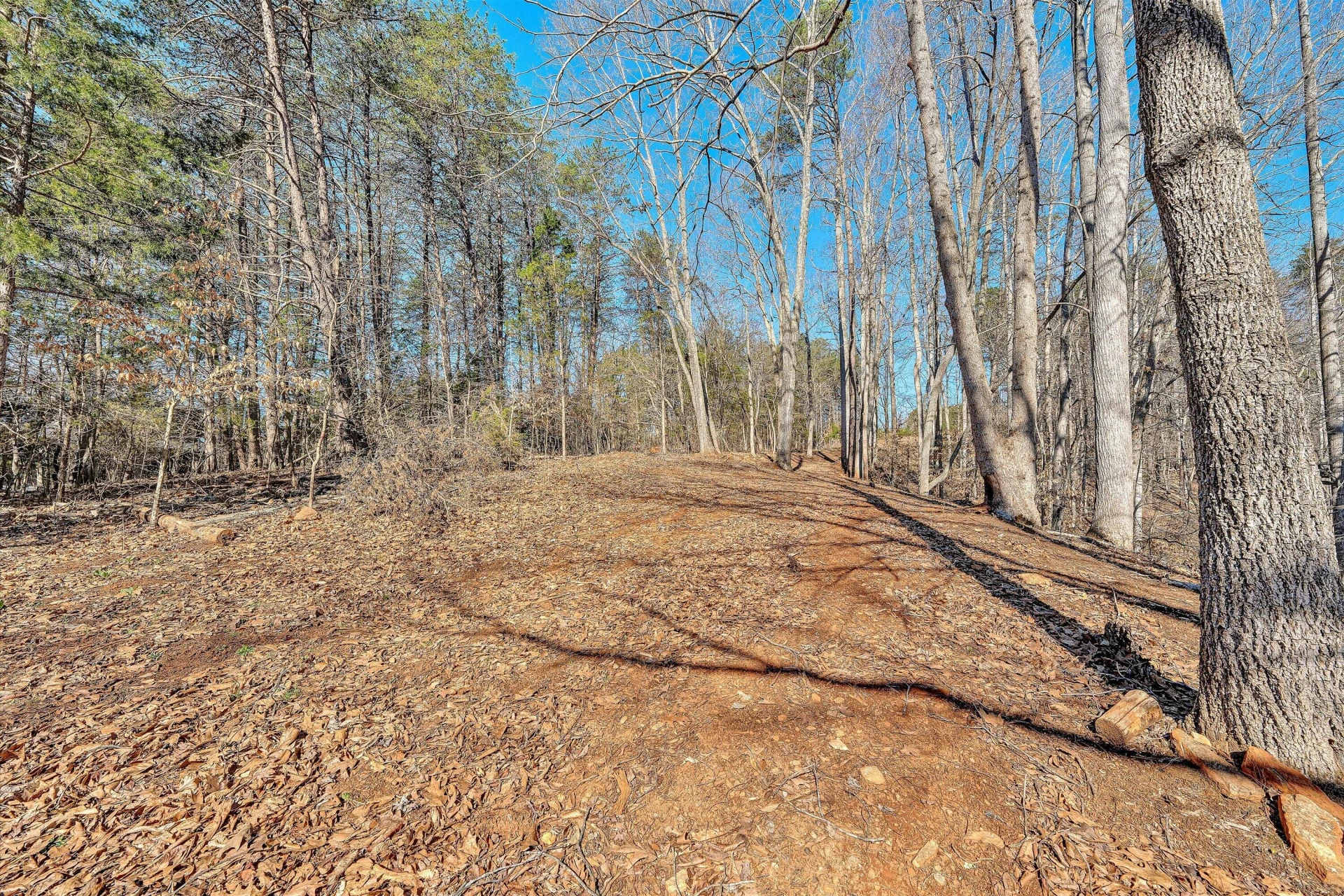 Lot 10 Bridgewater LN - Photo 20