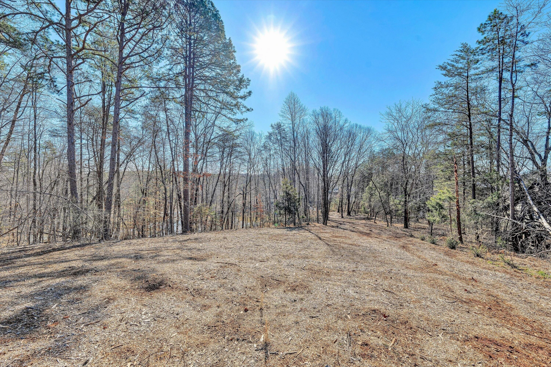Lot 10 Bridgewater LN - Photo 8