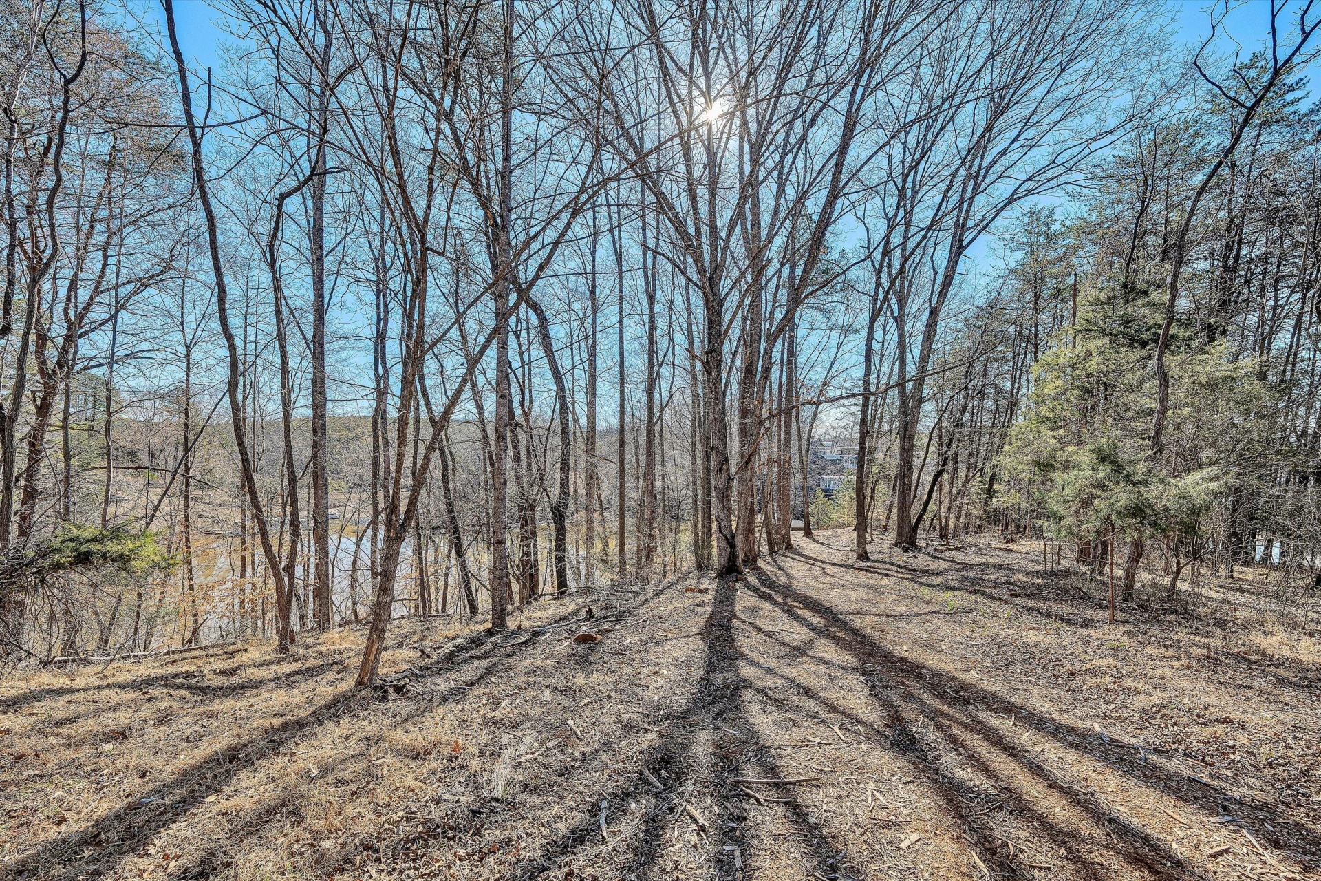 Lot 10 Bridgewater LN - Photo 9