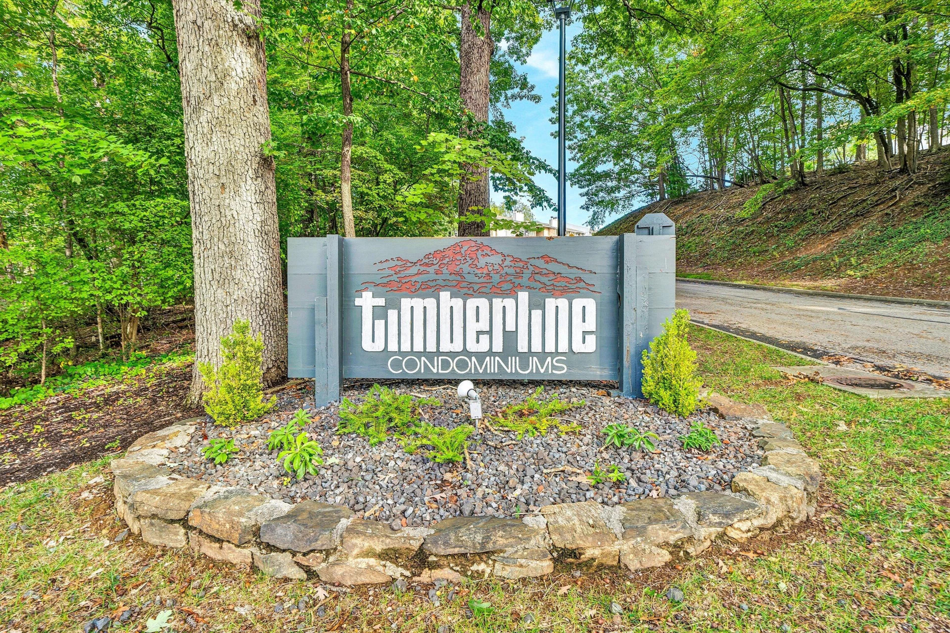 3554 Timberline TRL - Photo 3