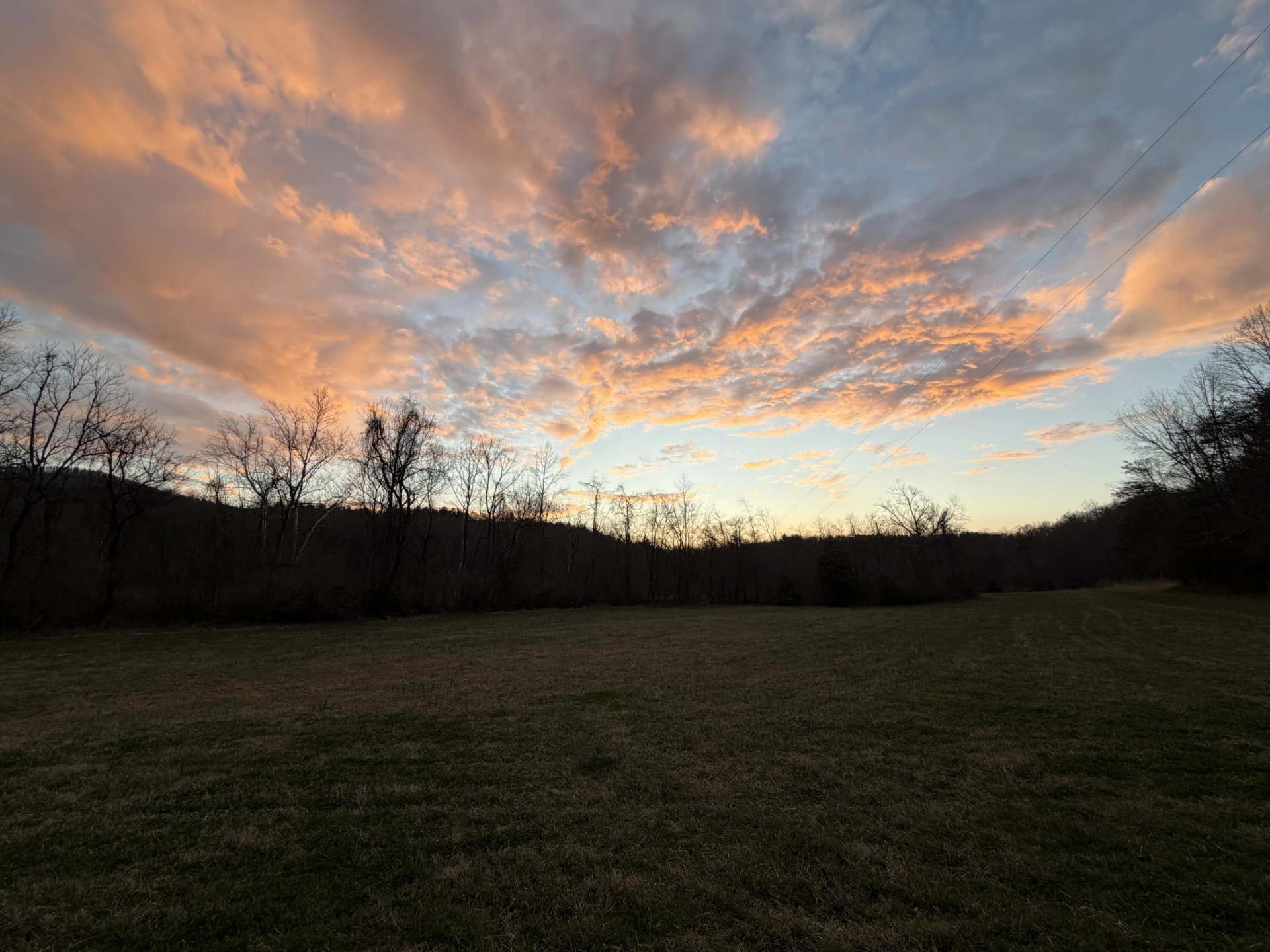 00 LELAND LN - Photo 12