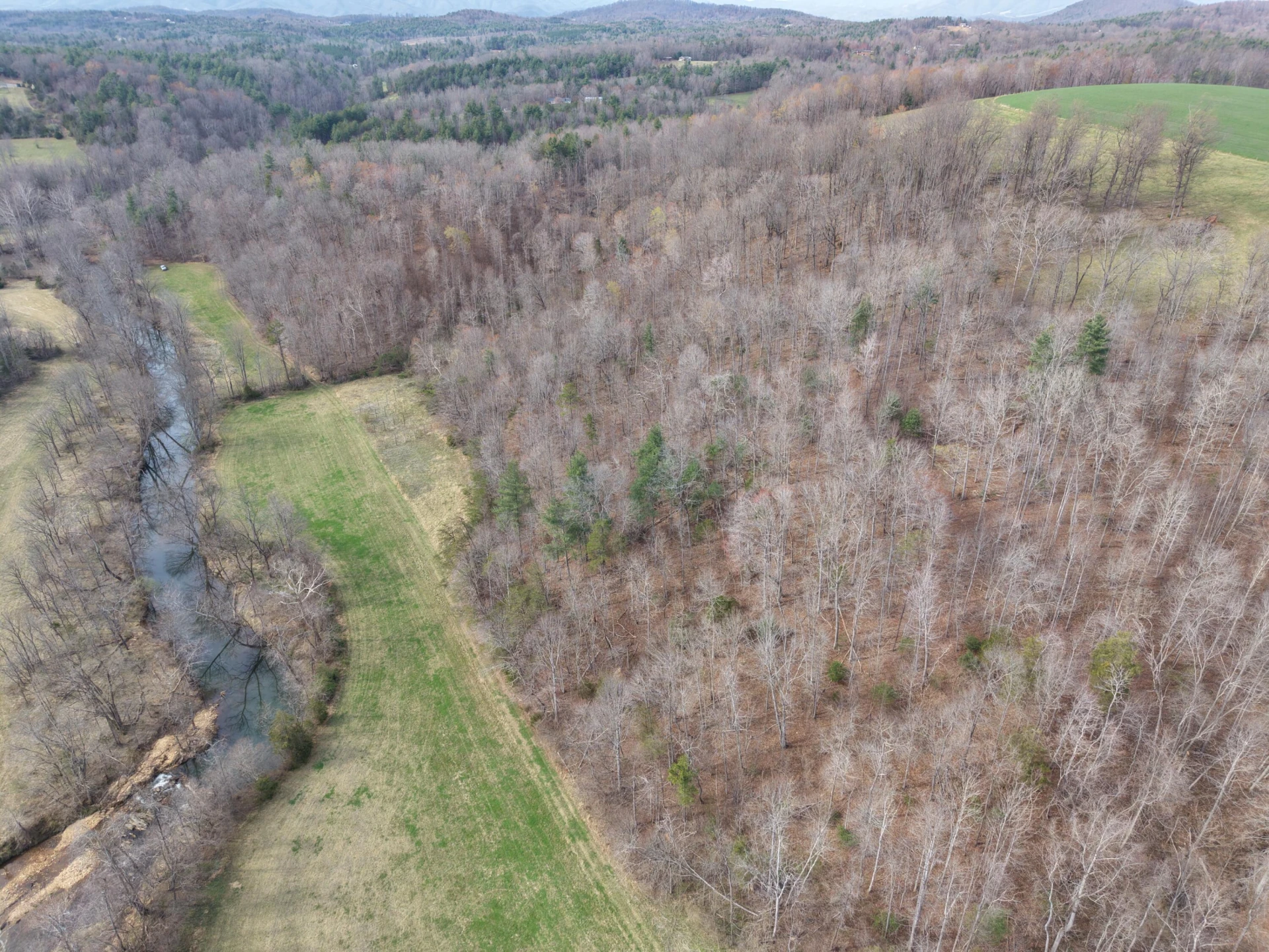00 LELAND LN - Photo 6